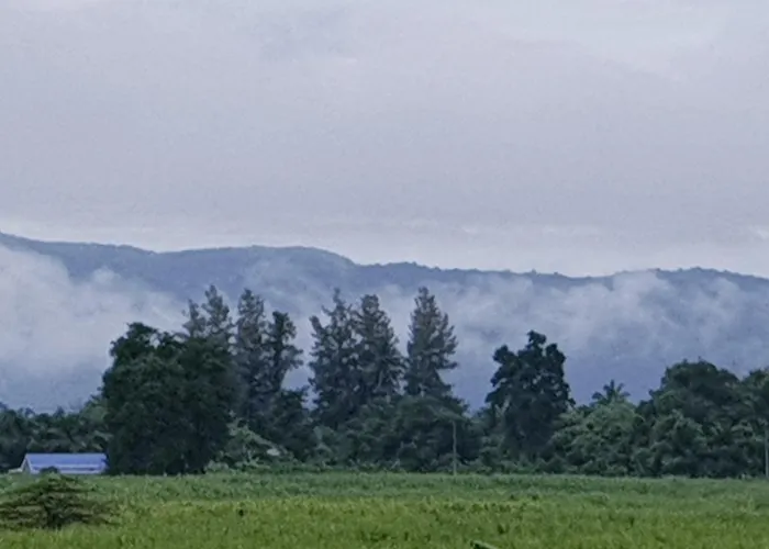 Ozone Farm *